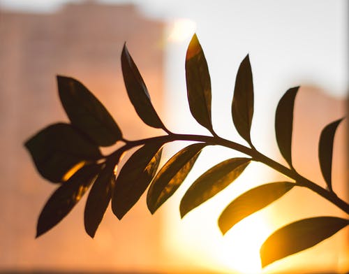 暖心谷雨祝福語錦集22句 暖心谷雨祝福語錦集22句