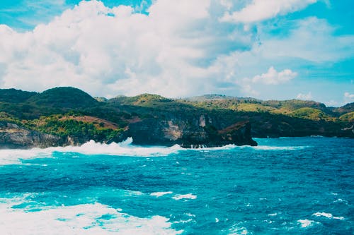 安國(guó)戰(zhàn)神小說(shuō)豬頭三葉玄林溫柔章節(jié)閱讀