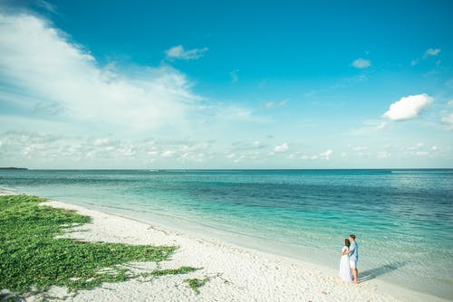 這個(gè)后宮不對(duì)勁小說慕淺凌初無錯(cuò)版閱讀