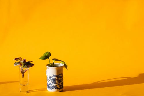 逆襲黃金年代小說穿越許昌郭婉晴無刪減閱讀