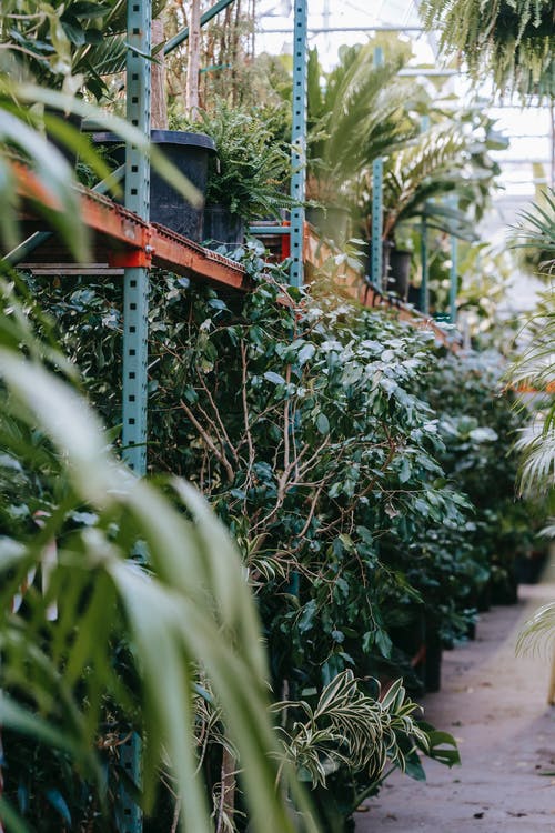 寒假記事日記300字