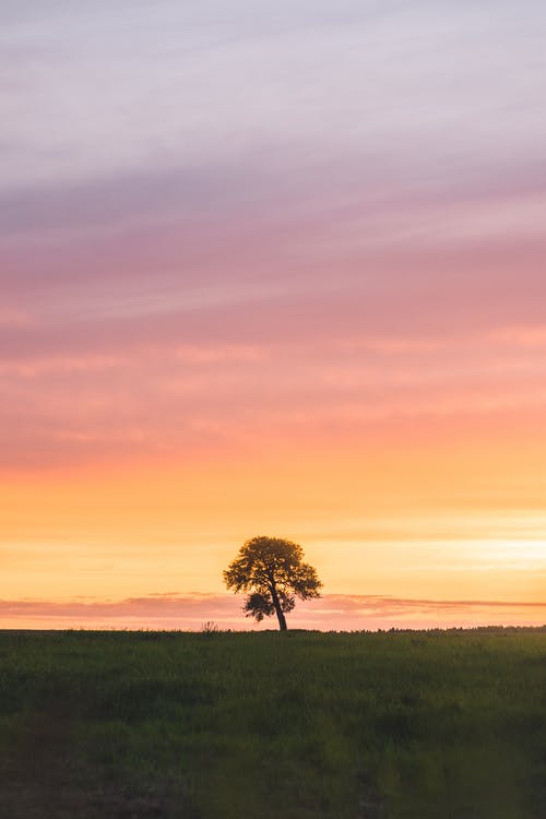 【熱門】六年級日記范文集合九篇