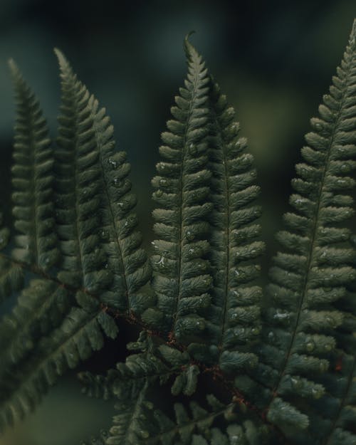 【精品】六年級(jí)日記范文集合九篇