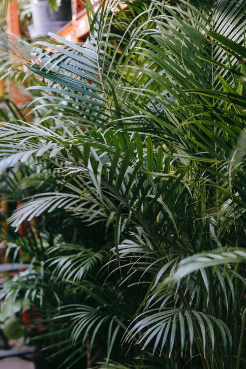 熱文上門贅婿是醫(yī)神小說蕭辰吳雅清無錯(cuò)版閱讀