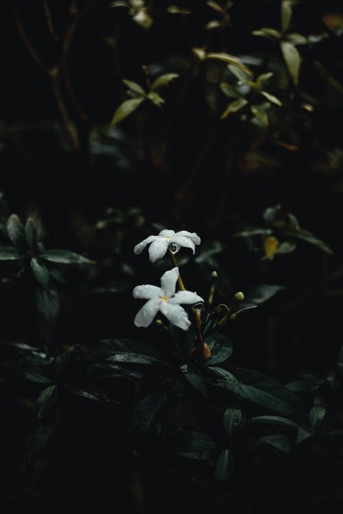 五年級(jí)期末考試作文大螃蟹