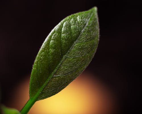 書中的勵志經(jīng)典語錄摘抄