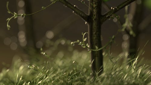 文言文狼原文及翻譯