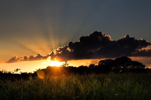 往傷口撒一把鹽美文 往傷口撒一把鹽美文