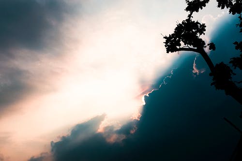 要開學(xué)了日記范文集合7篇