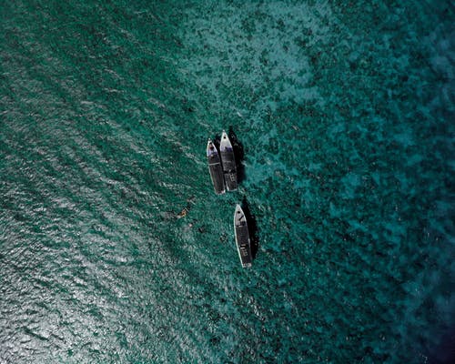 有關大寒的詩句大全 有關大寒的詩句大全