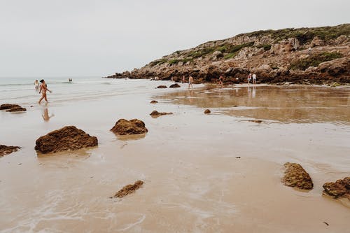 敬之原文翻譯及賞析