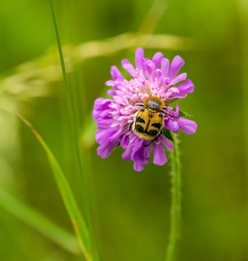關(guān)于古詩(shī)作文500字6篇 關(guān)于古詩(shī)作文500字6篇