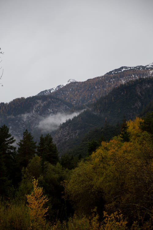 活魚逆流而上死魚隨波逐流美文 活魚逆流而上死魚隨波逐流美文