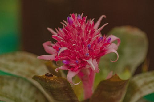 2020年暖心除夕QQ祝福語(yǔ)集合50句