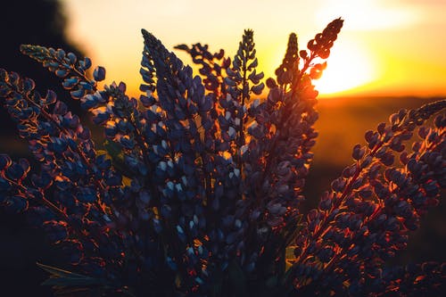 寫初中寒假日記150字大全 寫初中寒假日記150字大全