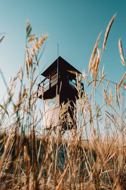 《更漏子·柳絲長》譯文、注釋及賞析