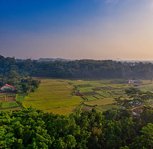 姜芷沐堇年虐戀小說(shuō)渺小卑微的愛(ài)章節(jié)閱讀