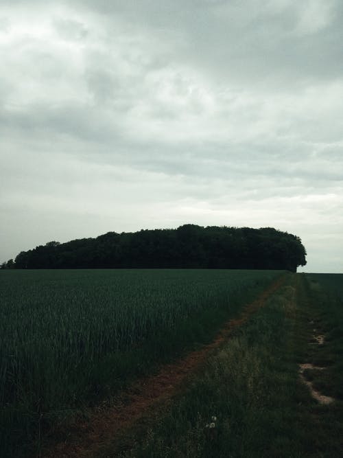 勵(lì)志故事讀后感（精選9篇）