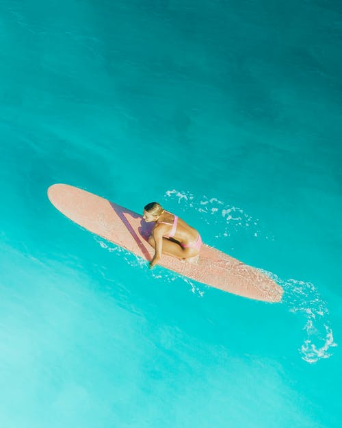 爽文綜都從同窗開始的日常陳坤碩安寧小說全文閱讀