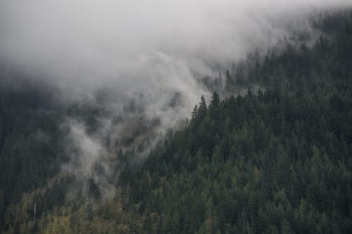 都市帝王尊師小說(shuō)季涼川蘇子妍無(wú)刪減閱讀 都市帝王尊師小說(shuō)季涼川蘇子妍無(wú)刪減閱讀