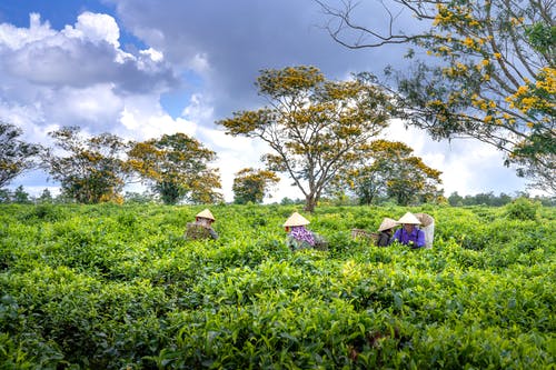 五年級觀后感《起跑線》
