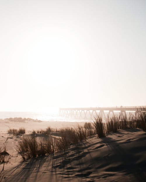 養(yǎng)父經(jīng)典臺(tái)詞