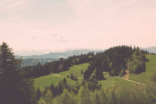 仙道破虛小說by落情淚韓斌蕭雨瑤無錯(cuò)版閱讀