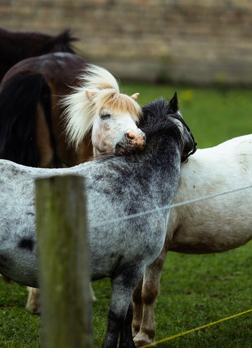 都市冰封萬(wàn)年歸來(lái)找老婆蘇陽(yáng)雪兒小說(shuō)無(wú)彈窗在線閱讀