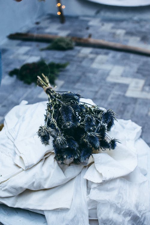 游褒禪山記原文及譯文2篇