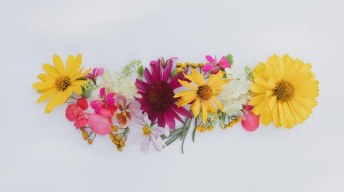 三八婦女節(jié)日記范文（精選7篇）