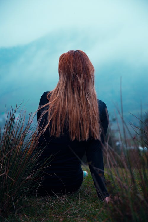 《鷓鴣天·林?jǐn)嗌矫髦耠[墻》譯文賞析