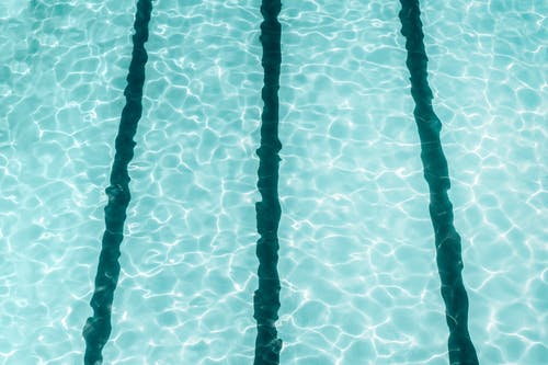 五年級讀后感《皮皮魯傳》