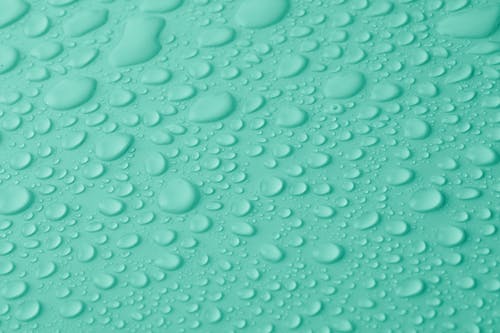 寒假趣事日記250字