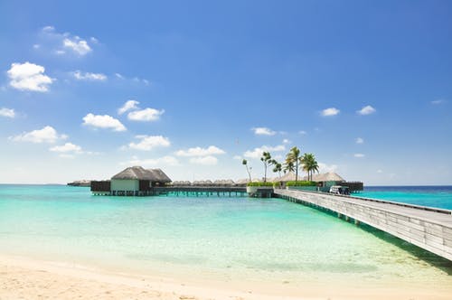 將軍夫人的馬甲又掉了小說胡黛玨沈冠無廣告閱讀 將軍夫人的馬甲又掉了小說胡黛玨沈冠無廣告閱讀