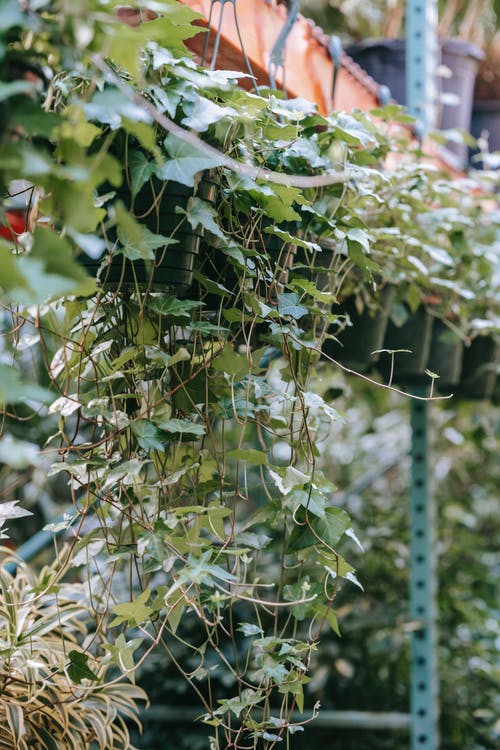 適合集體讀的勵(lì)志詩歌