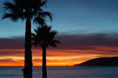 李春天的春天經(jīng)典臺詞