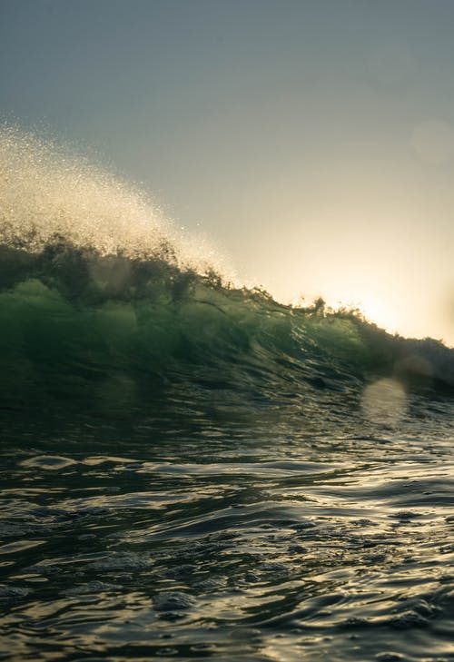 玄幻蓋世神帝小說主角沈易無刪減閱讀 玄幻蓋世神帝小說主角沈易無刪減閱讀