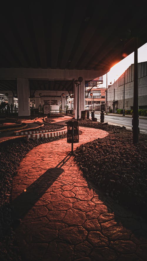 戰(zhàn)神歸來大佬颯爆了小說葉輕舟李蒼龍在線閱讀