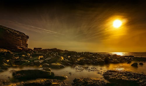 五年級(jí)話題作文讀書(shū) 五年級(jí)話題作文讀書(shū)