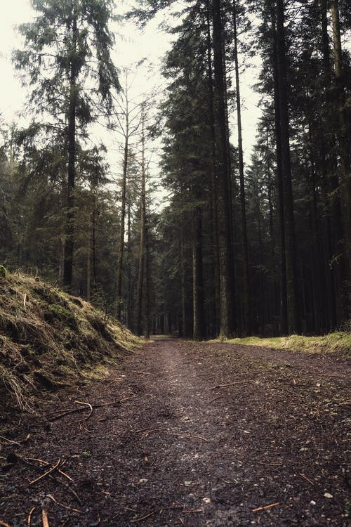 動畫片《冰川時代4》經典臺詞