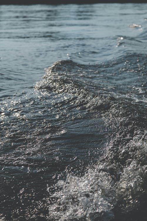 靈源大陸小說主角秦楓無彈窗閱讀