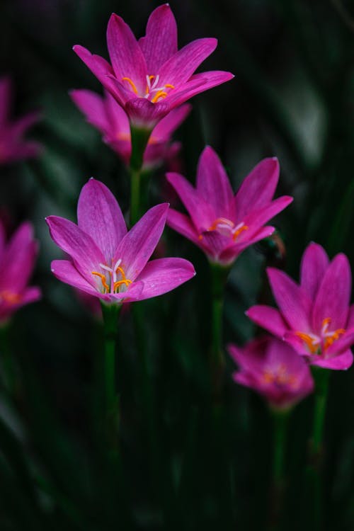 五年級(jí)觀(guān)后感《你好，李煥英》觀(guān)后感1