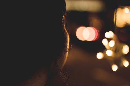 【精華】動物日記范文錦集7篇