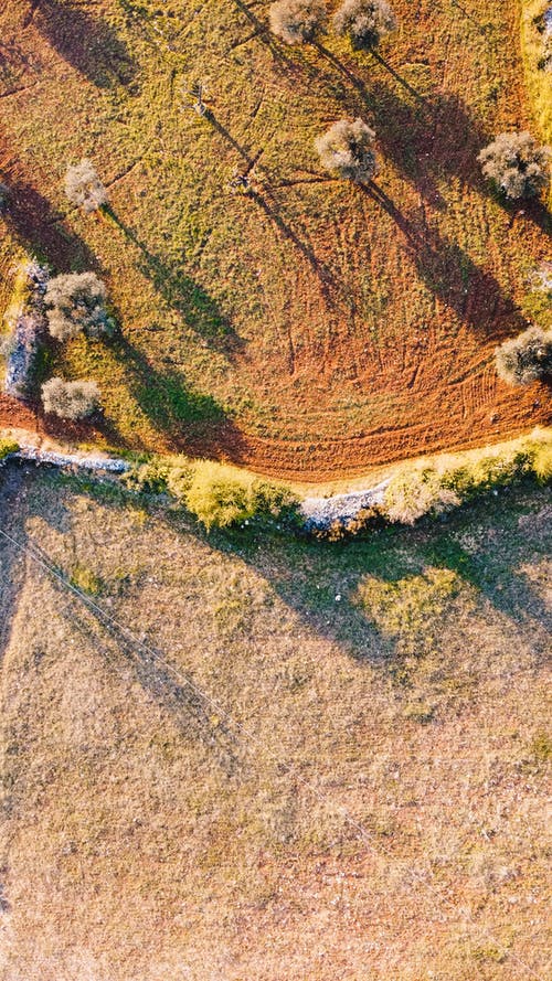 玄幻我的手下全是正道大佬小說(shuō)主角云天河在線閱讀