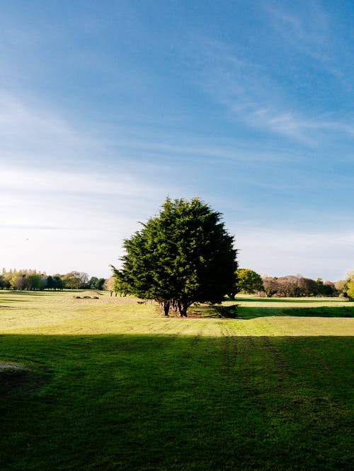 五年級敘事作文令人感動的一幕