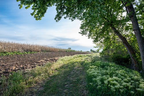 龍之墓小說靈異陳解陽方婷目錄閱讀
