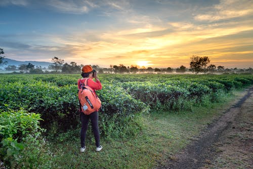 歲月無情，唯愿安好