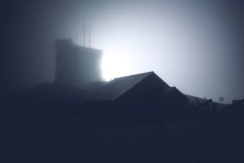 荒島我為王小說爽文姜晨林佳琪無廣告閱讀