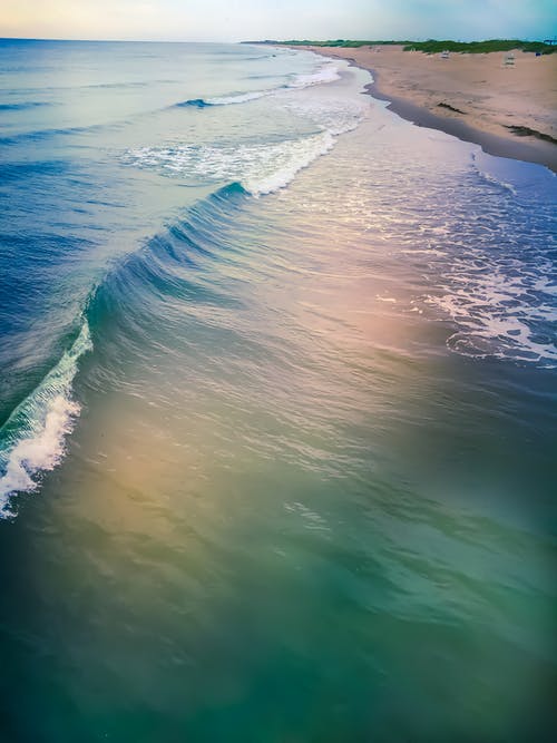 五年級日記橙汁