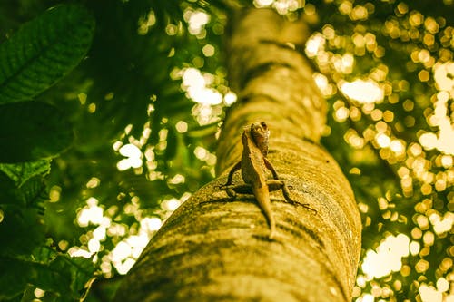 小品大話西游經(jīng)典臺詞 小品大話西游經(jīng)典臺詞